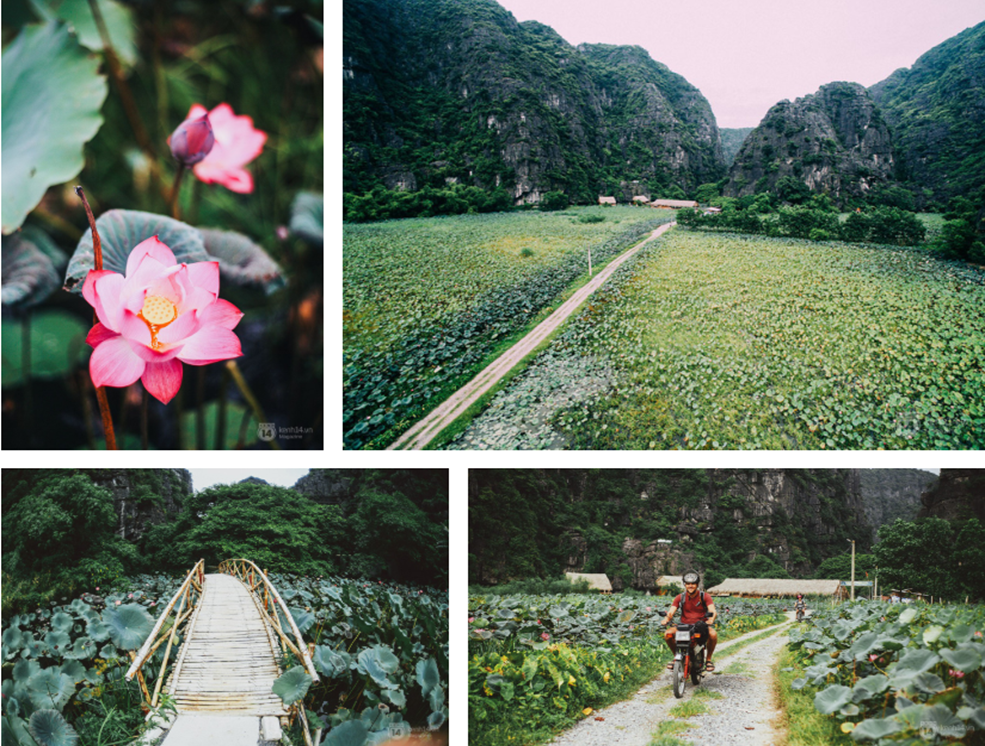 ninh binh