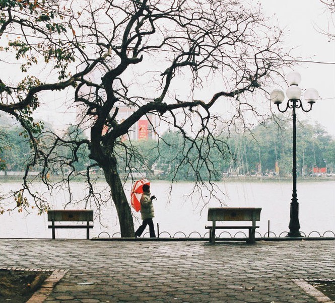 lenordduvietnam