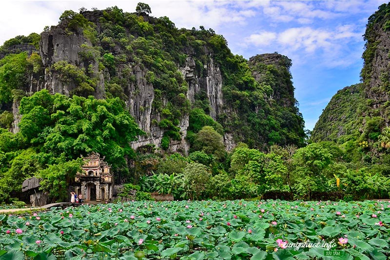 pagodebichdong