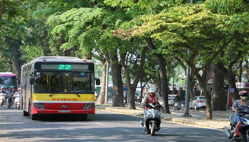bus