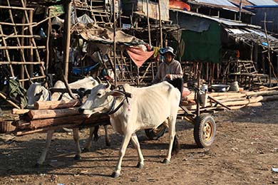10 raisons pour voyager au Cambodge