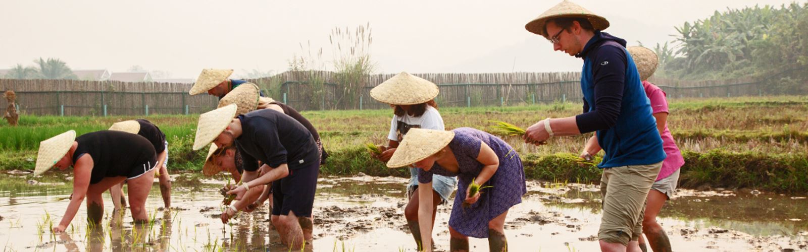 Voyage Laos - Voyage sur mesure avec une agence locale