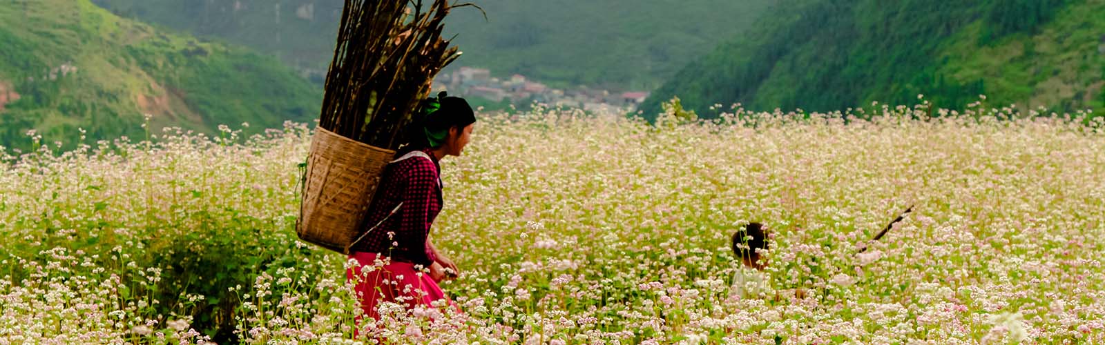 Voyage Vietnam, Voyage sur mesure au Vietnam, Voyage au Vietnam sur mesure