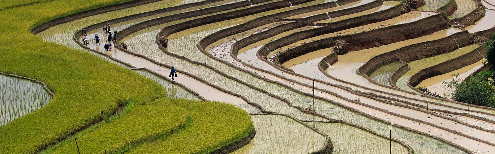Voyage Vietnam, Voyage sur mesure au Vietnam, Voyage au Vietnam sur mesure