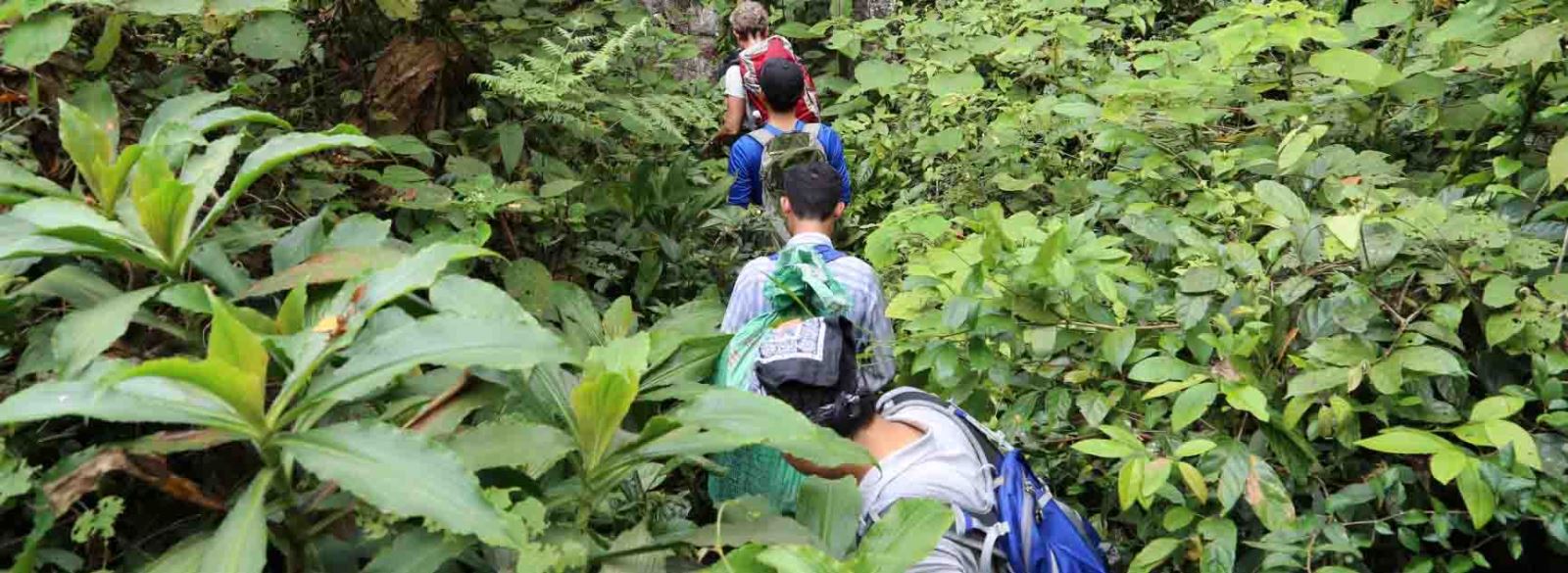 Trekking dans le parc national