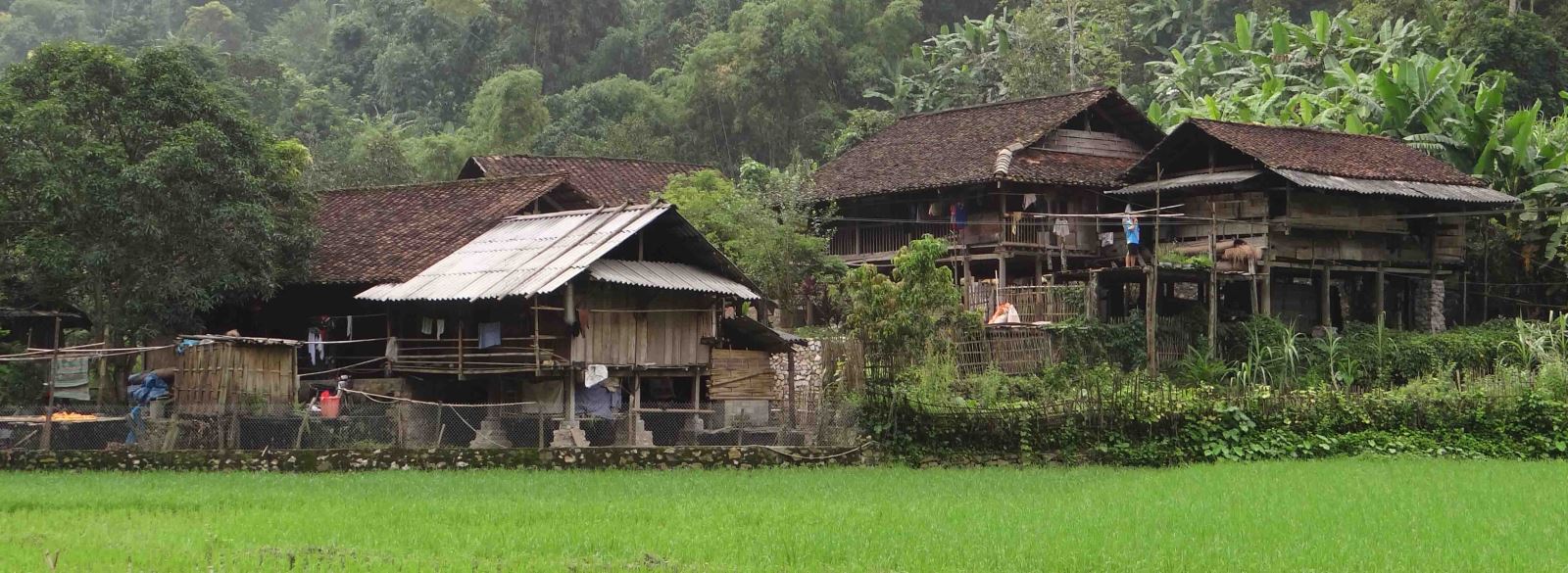  Se promener au village de Pac Ngoi