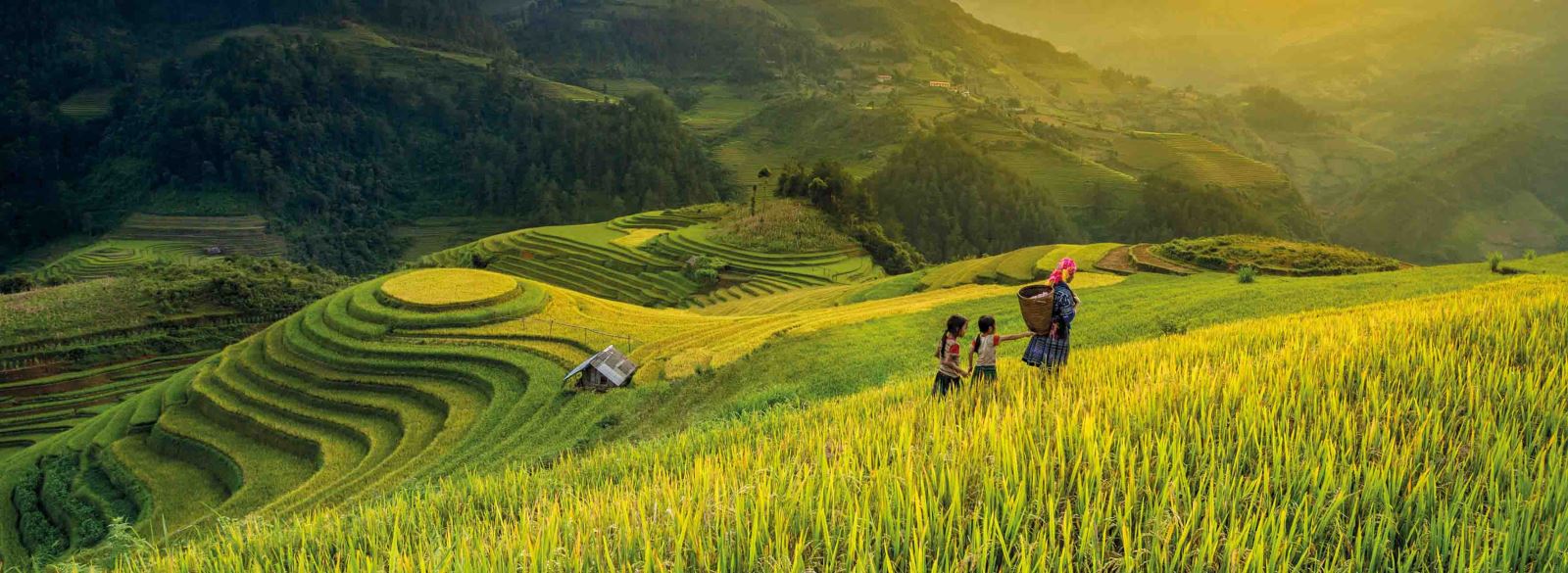 La région de Mu Cang Chai est peuplée par l’ethnie Hmong