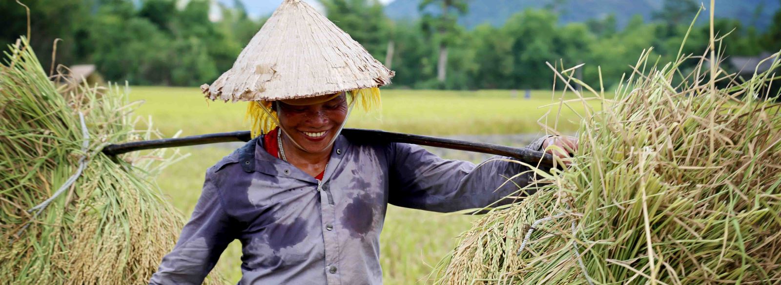 Les Thaï de Nghia Lo