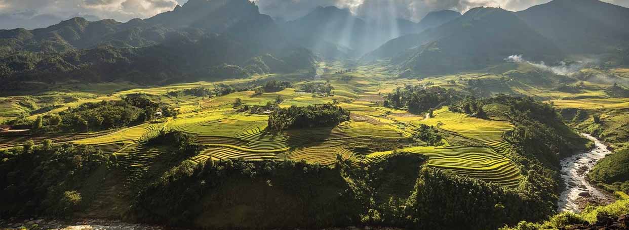 Se promener au milieu des rizières en terrasses à Mu Cang Chai