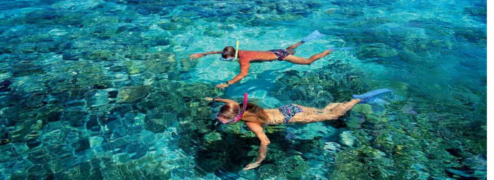 Faire de la plongée sous-marine
