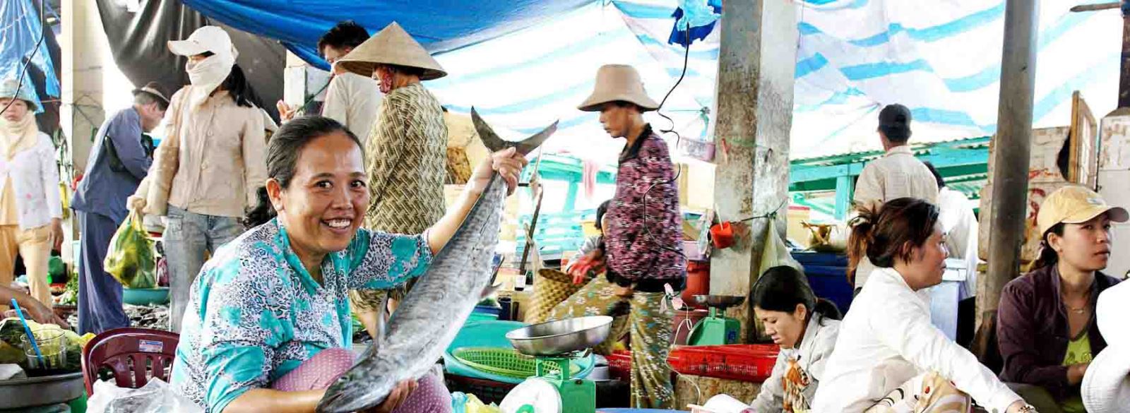 Découvrir un marché local