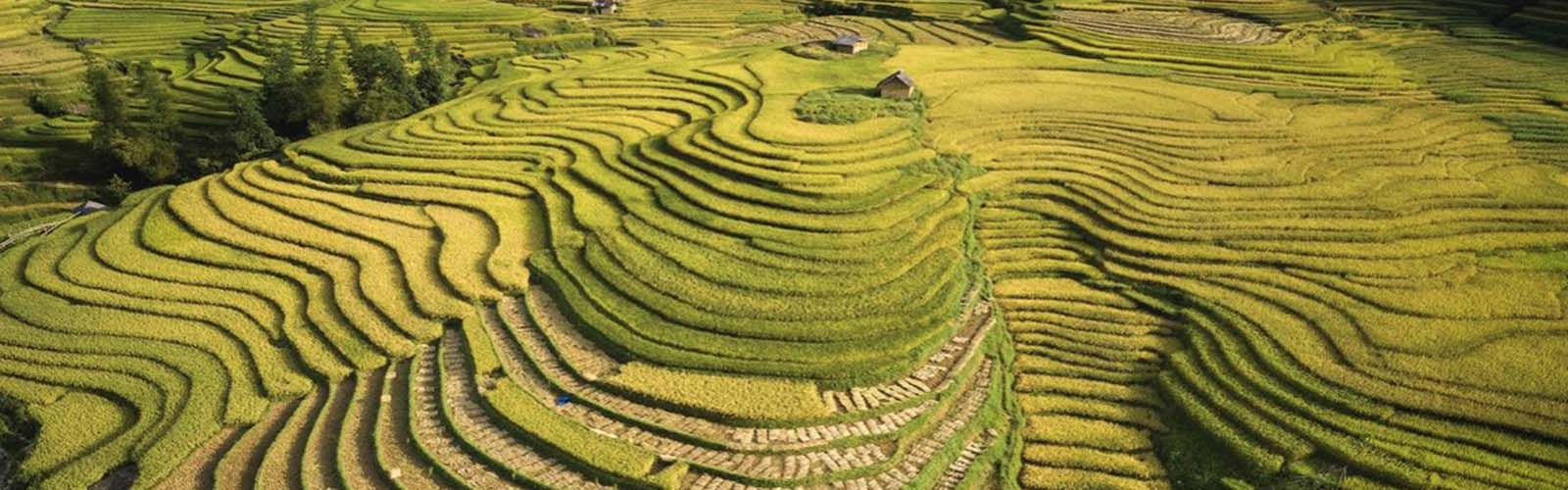 Voyage Vietnam, Voyage sur mesure au Vietnam, Voyage au Vietnam sur mesure