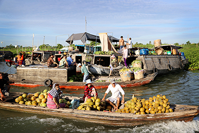 AUX CŒURS DES PLUS BEAUX SITES DU VIETNAM | 12 jours