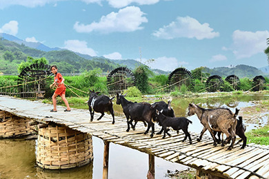 RANDONNÉE DANS LE PAYS DES THAI | 4 jours