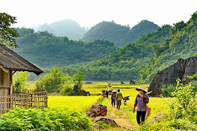 RANDONNÉE DANS LES ENVIRONS DE MAI CHAU | 4 jours