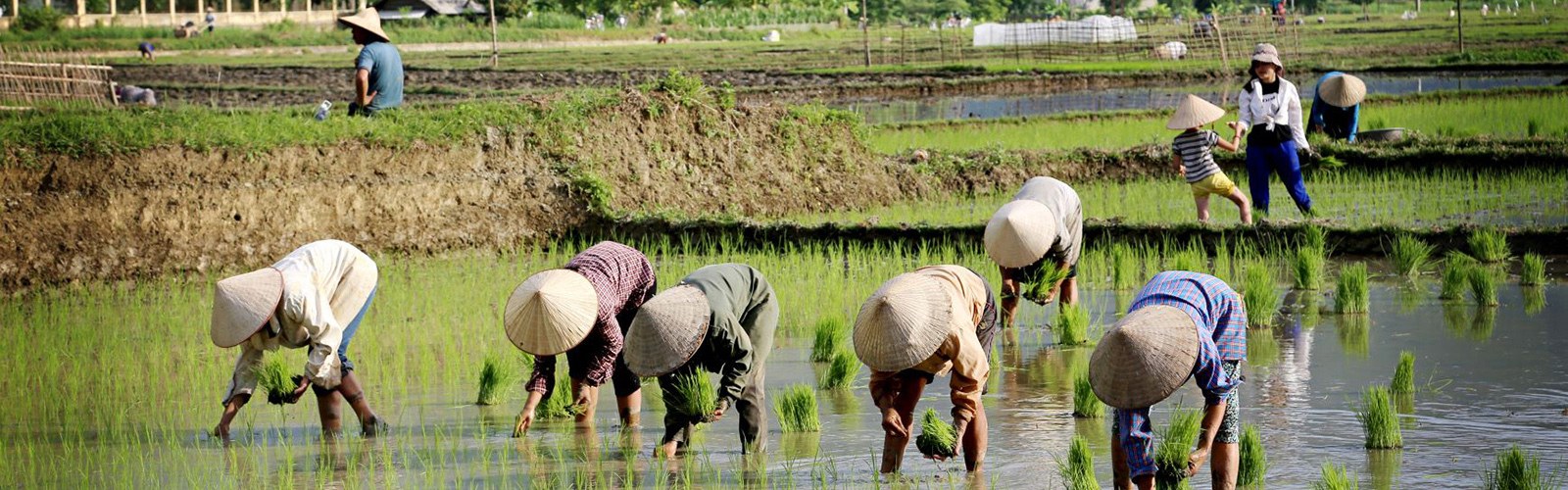 Voyage Vietnam - Voyage sur mesure au Vietnam avec iLotus Tours