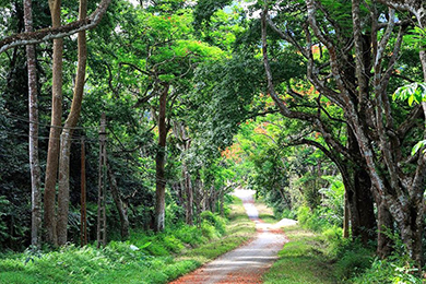 NINH BINH–PARC NATIONAL DE CUC PHUONG | 2 jours