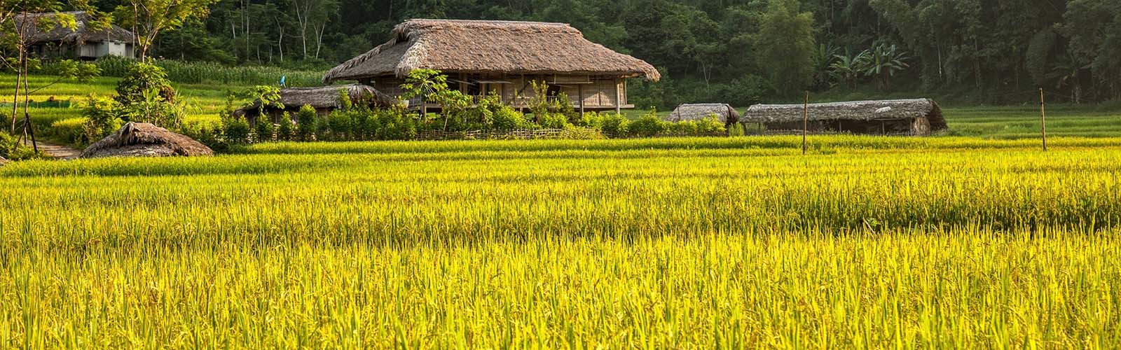 Voyage Vietnam - Voyage sur mesure au Vietnam avec iLotus Tours