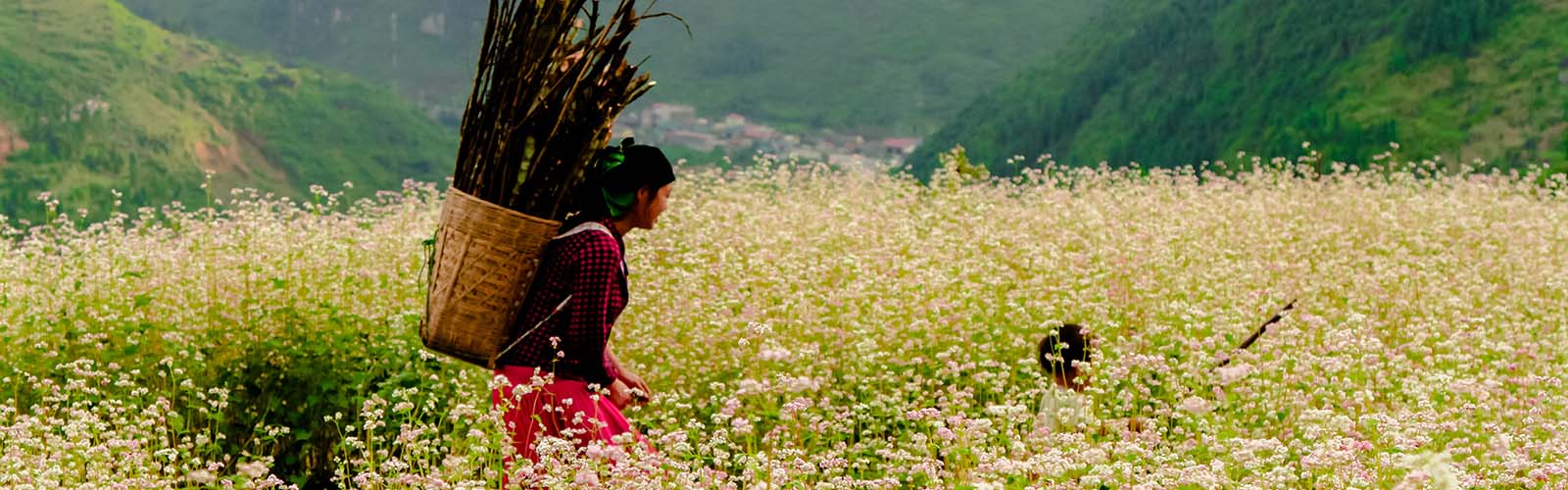 Voyage Vietnam - Voyage sur mesure au Vietnam avec iLotus Tours