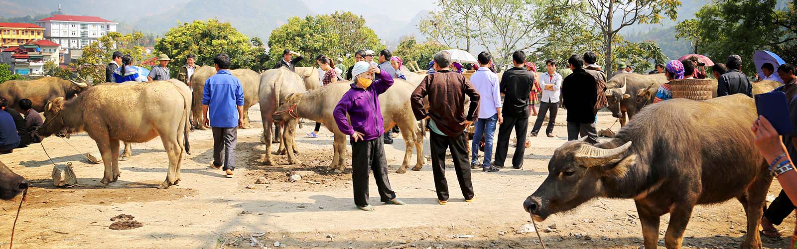 Voyage Vietnam - Voyage sur mesure au Vietnam avec iLotus Tours