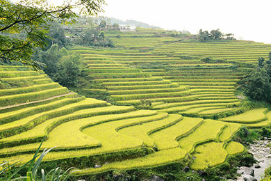 MAI CHAU & PU LUONG, HAVRES DE PAIX | Vietnam | 6 jours