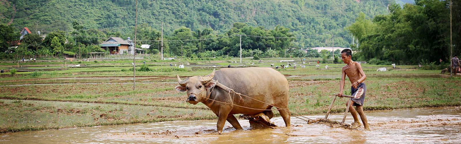 Voyage Vietnam - Voyage sur mesure au Vietnam avec iLotus Tours