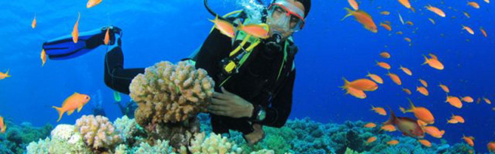 Voyage Vietnam - Voyage sur mesure au Vietnam avec iLotus Tours