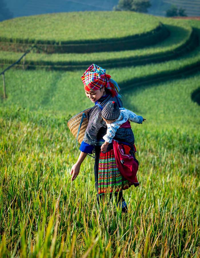 Sapa