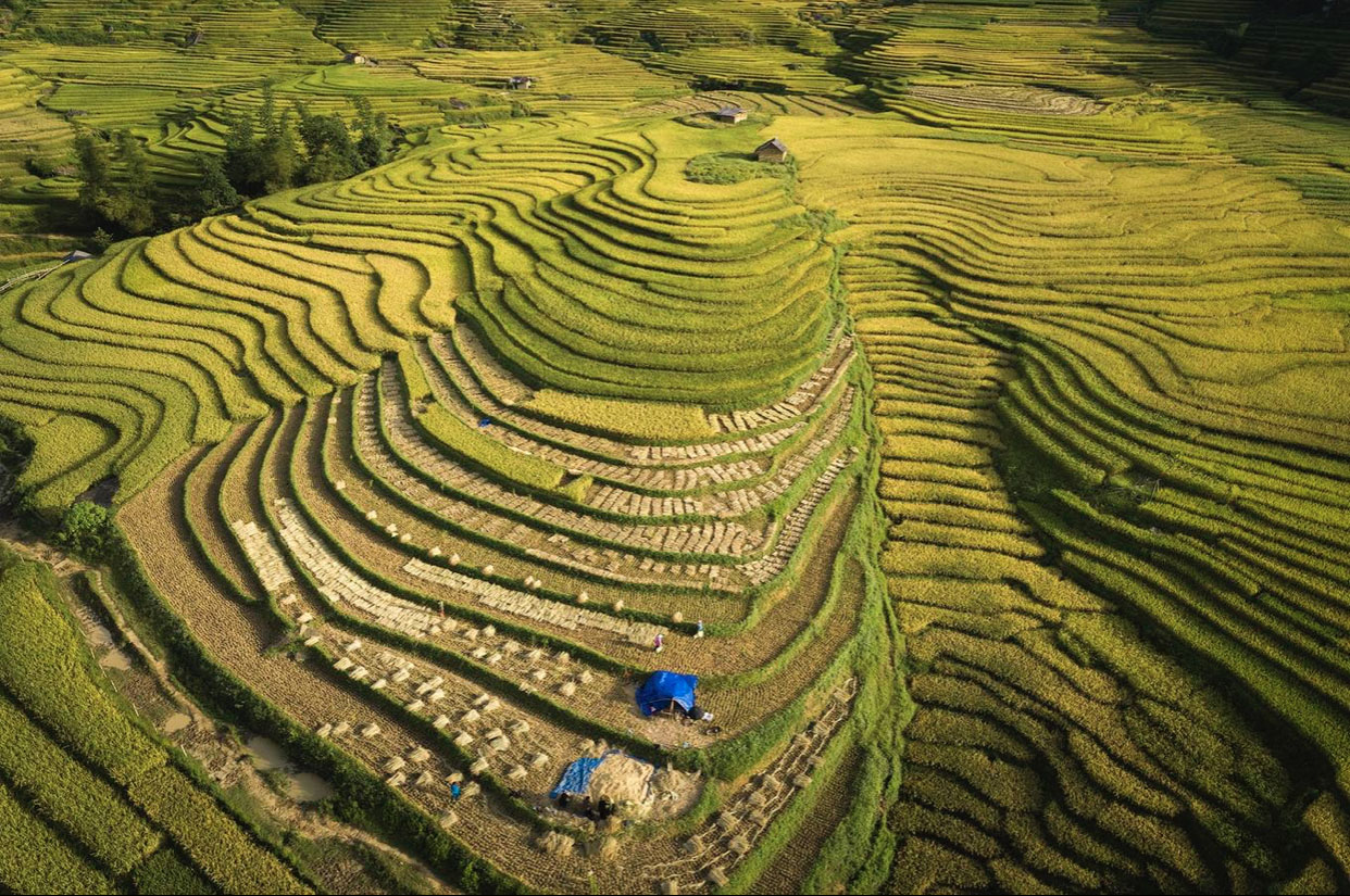 A 15km de Mu Cang Chai, La Pan Tan est un village typique de l’ethnie Hmong